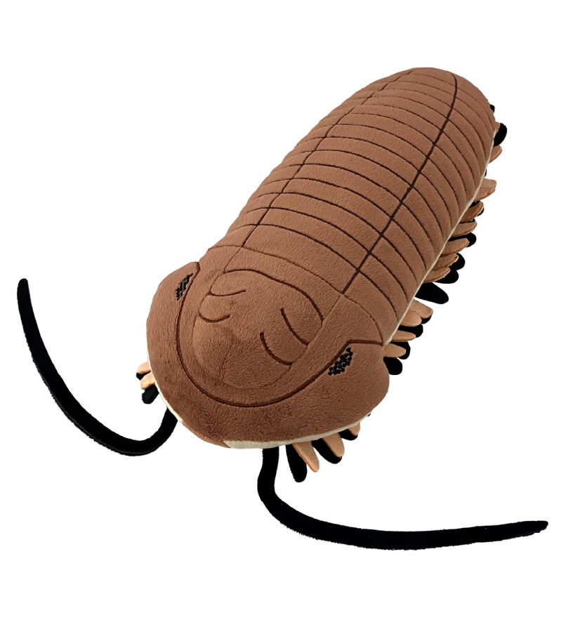 三葉虫ぬいぐるみ