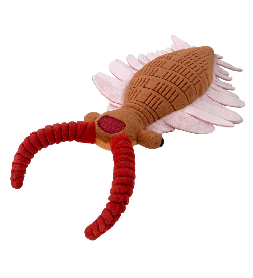 アノマロカリスぬいぐるみ