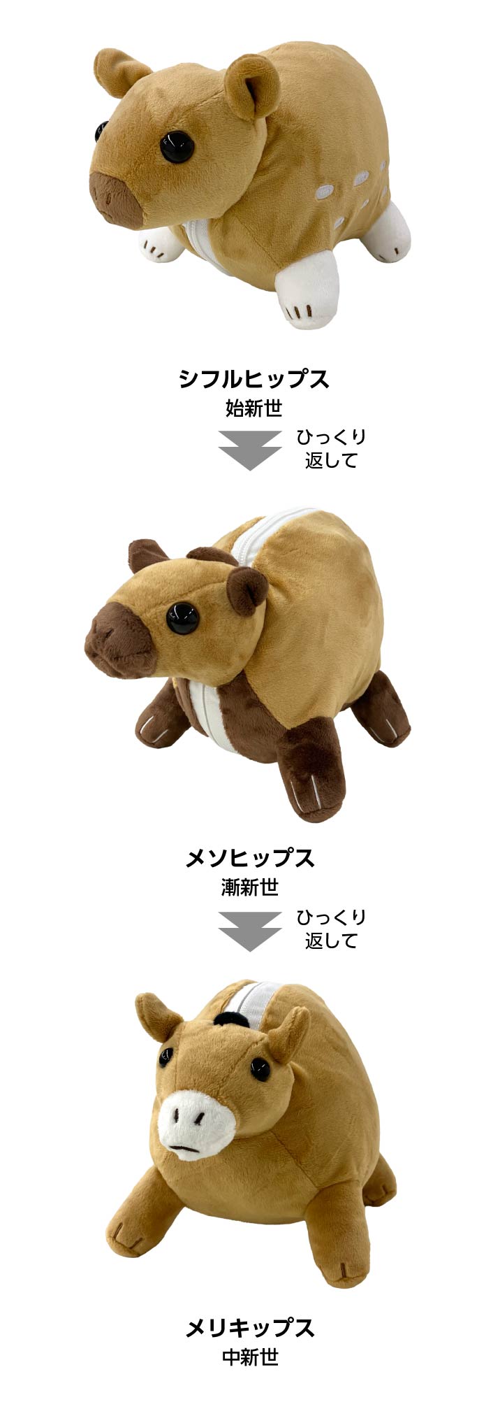 ひっくり返して、またひっくり返すぬいぐるみ（ウマ科3種）