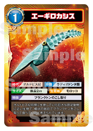 トレーディングカード1