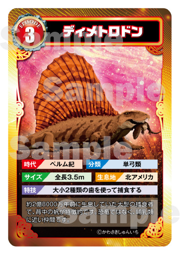 トレーディングカード3