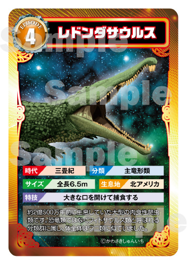 トレーディングカード4