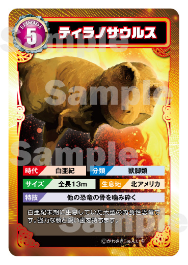 トレーディングカード5