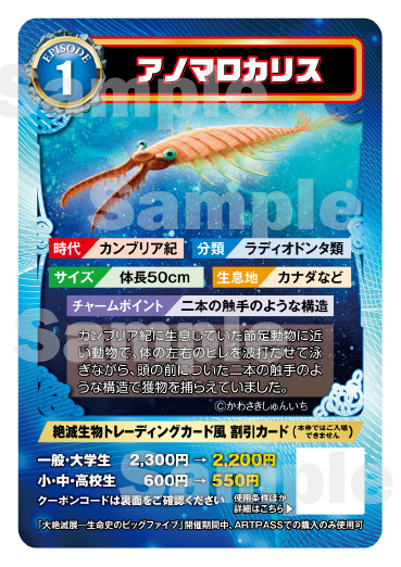 トレーディングカード6