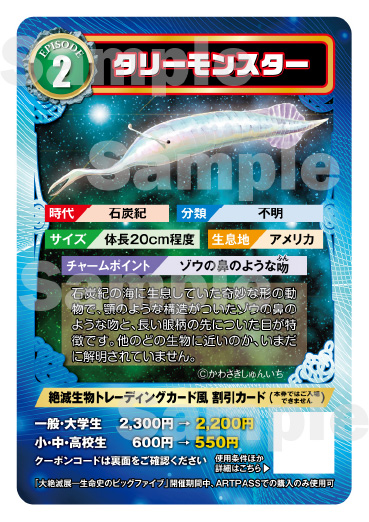 トレーディングカード7